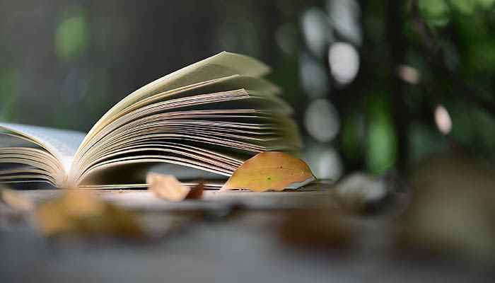 陶者古诗意思 陶者古诗的意思