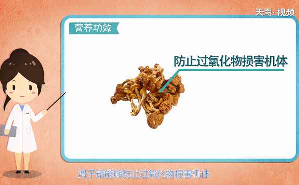 滑子菇的功效与作用(滑子菇适合与哪些食物进行搭配)