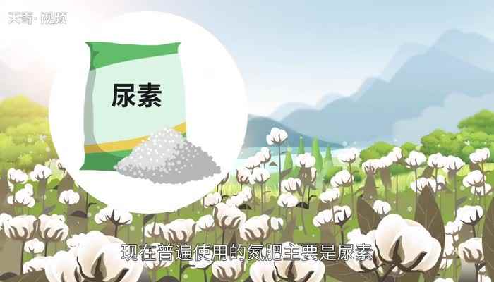 什么是氮肥(氮肥和尿素有什么区别)