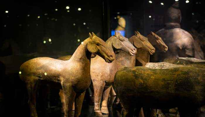 辛追夫人是哪个朝代的(辛追夫人是西汉时期人吗)