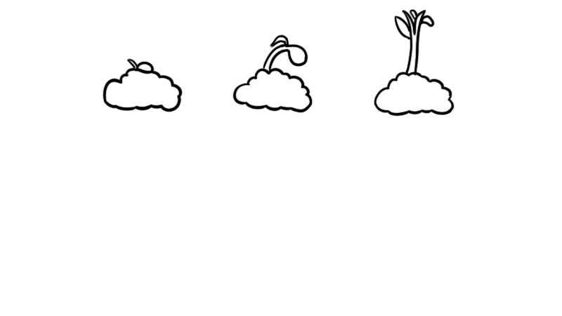 植物生长过程6张简笔画(植物冒出芽和长高一点的轮廓)