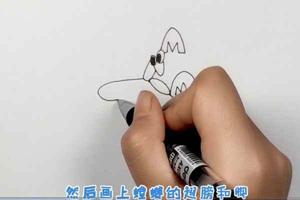 螳螂简笔画(螳螂简笔画简单又好看)