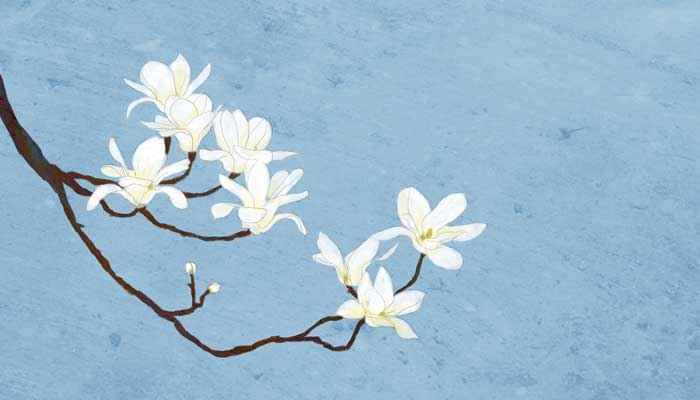 李清照花开花落终有时全诗 李清照花开花落终有时那首诗