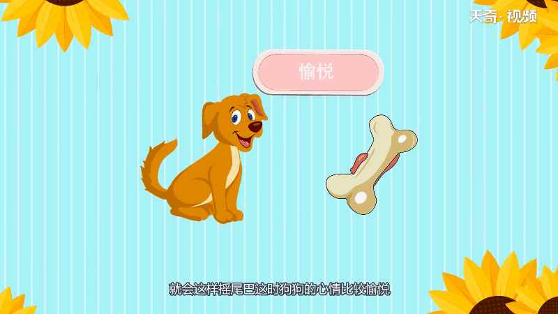 狗摇尾巴代表什么 狗摇尾巴是什么意思