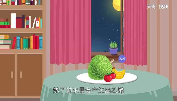 榴莲怎么催熟(榴莲打开后发现没熟怎么办)