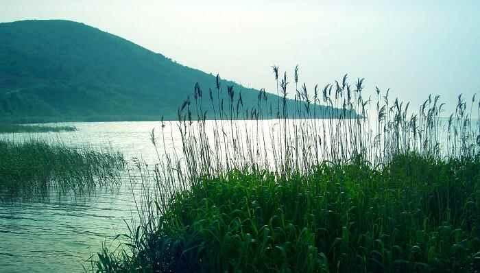 望洞庭所有诗句的意思 望洞庭这首古诗的意思