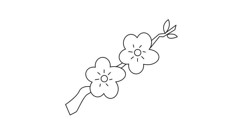梅花简笔画(画出一朵梅花的枝干和叶子)