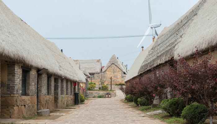 草房子主要内容(男孩桑桑刻骨铭心而又终身难忘的六年小学生活地描写)