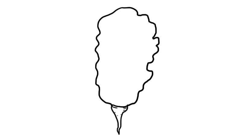 大白菜简笔画怎么画(画出大白菜的轮廓和根部)