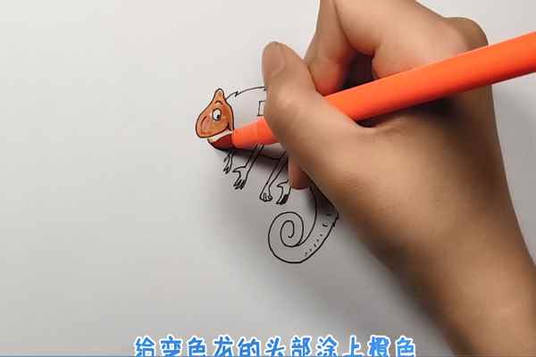 变色龙简笔画(变色龙的身体画出来啦!)