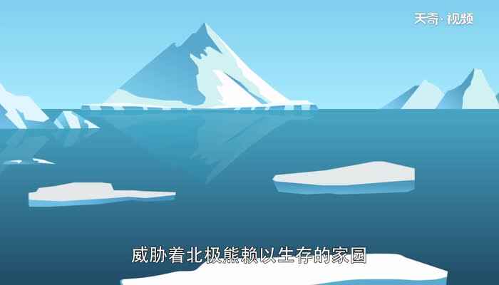 北极熊生活在哪里 北极熊以什么为食