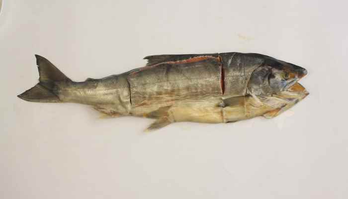 大兴安岭特产有呼玛马铃薯