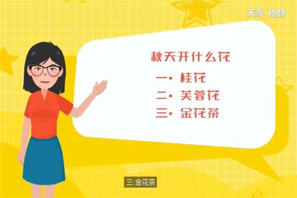 秋天开什么花(只在秋天开放的花有以下几种)