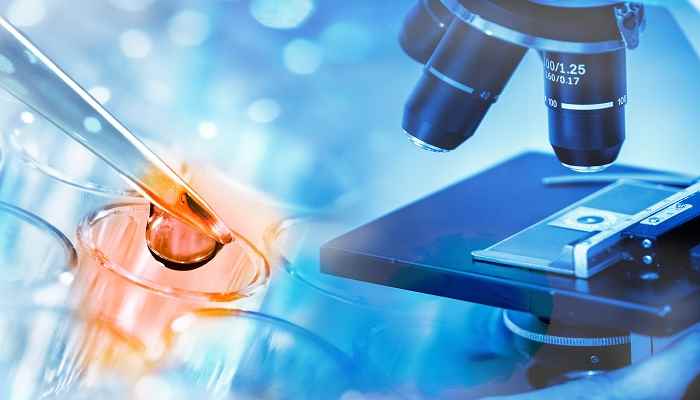 自由组合定律的内容(自由组合规律是什么)