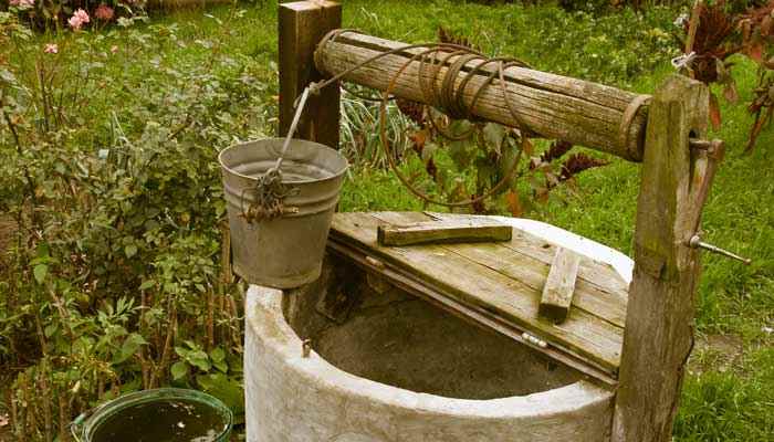 井是什么偏旁(字形演变流程)