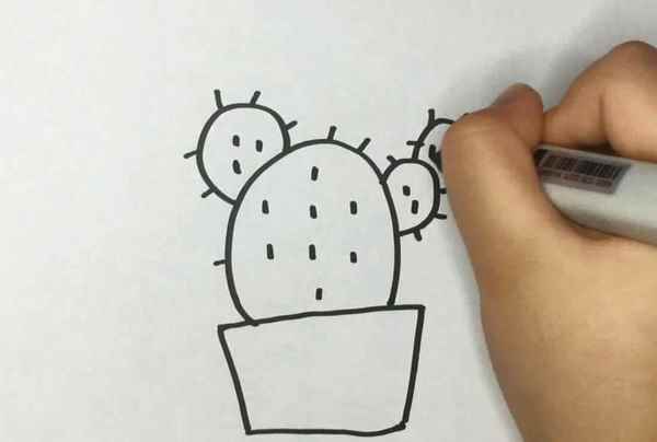 仙人掌的简笔画(我们先画出仙人掌的身体)