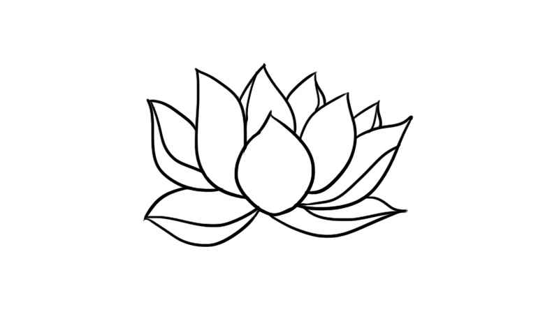 花瓣简笔画(先画出三片花瓣。画出第二层。)