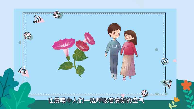 喇叭花花语 喇叭花花语是什么