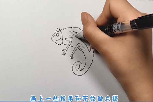 变色龙简笔画(变色龙的身体画出来啦!)