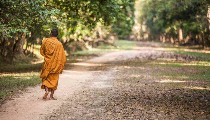 不负如来不负卿全诗解释 不负如来不负卿的解释