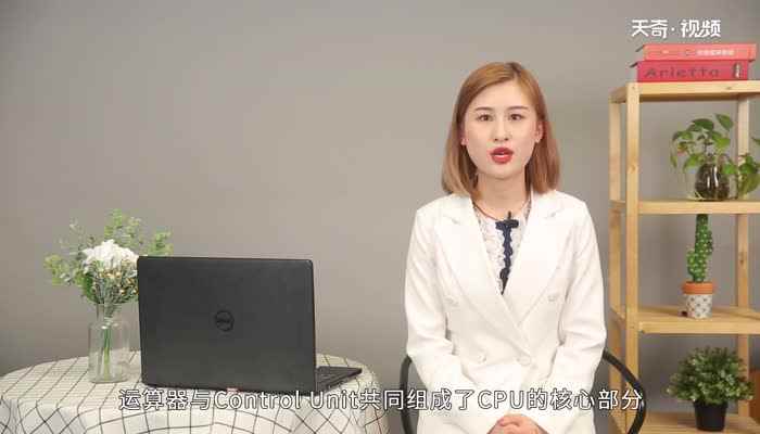 运算器的主要功能是指  运算器的主要功能是指什么