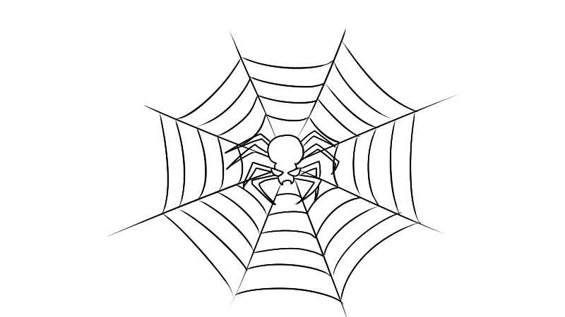 蜘蛛网简笔画(如何画出蜘蛛网的网状部分)