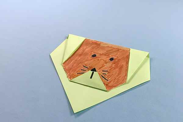 狮子的折法(狮子的五官是什么意思)