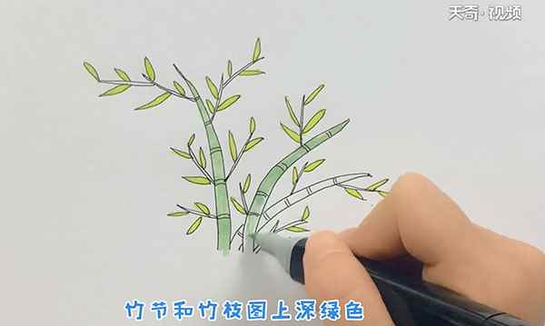 竹子的简笔画(竹子的简笔画简单又漂亮)