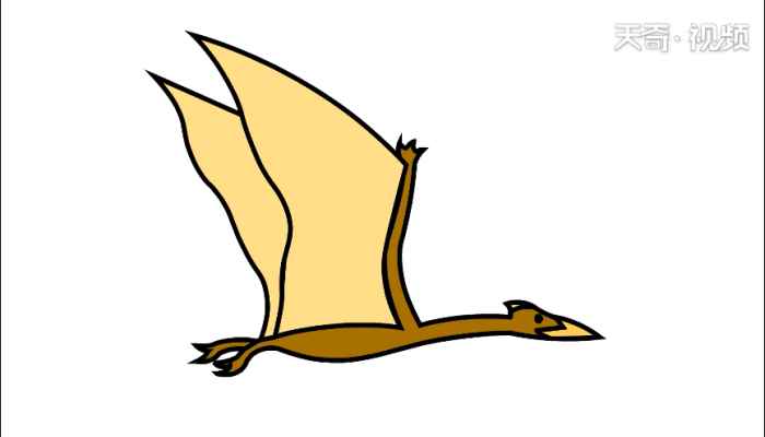 风神翼龙简笔画(画翼龙的手和身体有什么区别)