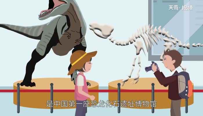 川c是四川哪里车牌号(川c是四川省自贡市的车牌号码)