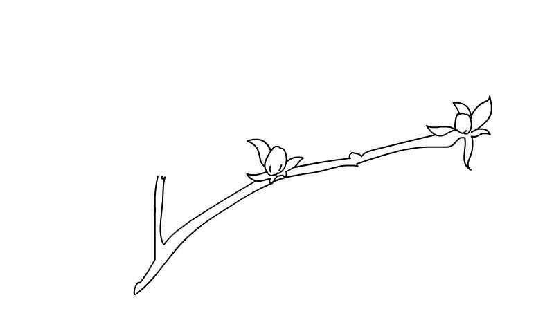 迎春花简笔画(先画出迎春花的枝干和小花苞)