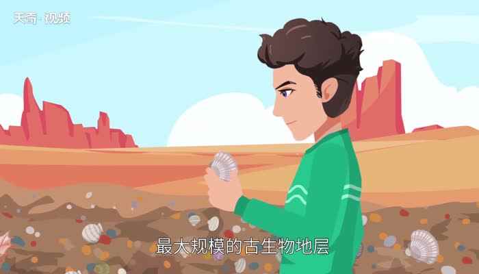 柴达木盆地海拔(柴达木盆地是我国四大盆地之一)