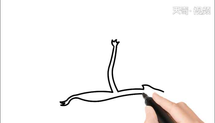 风神翼龙简笔画(画翼龙的手和身体有什么区别)