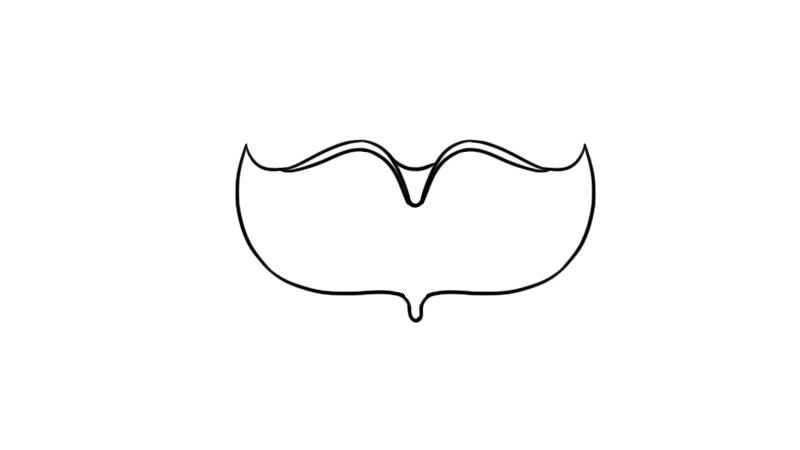 面具简笔画(眼睛上面具的形状有哪些)