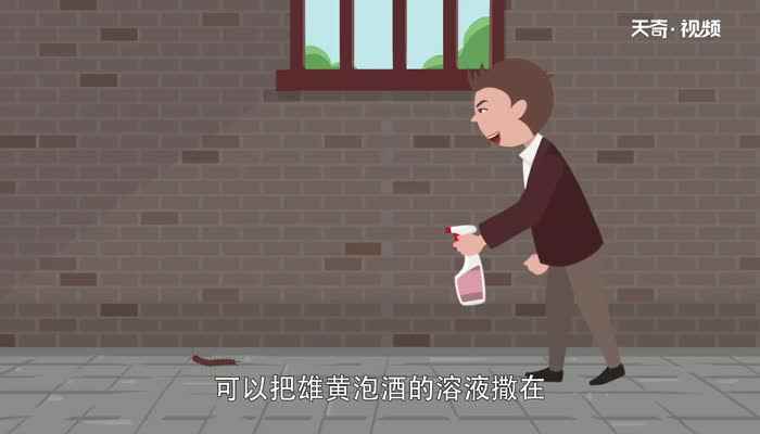 蜈蚣怕什么 蜈蚣怕风油精吗