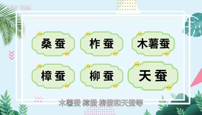 桑蚕丝的特点(桑蚕丝是天然的动物蛋白质)