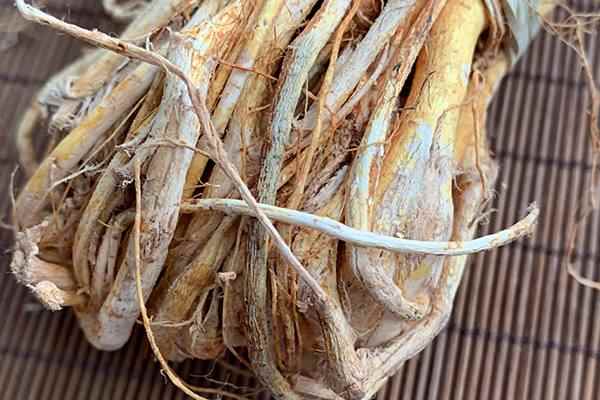 五指毛桃的功效与作用 五指毛桃好处