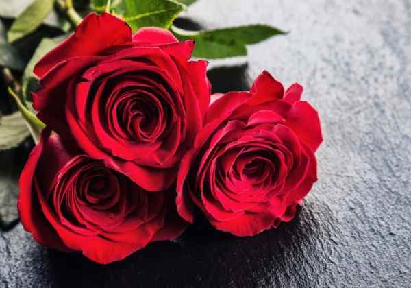 蜂蜜如何祛斑(玫瑰蜂蜜祛斑)