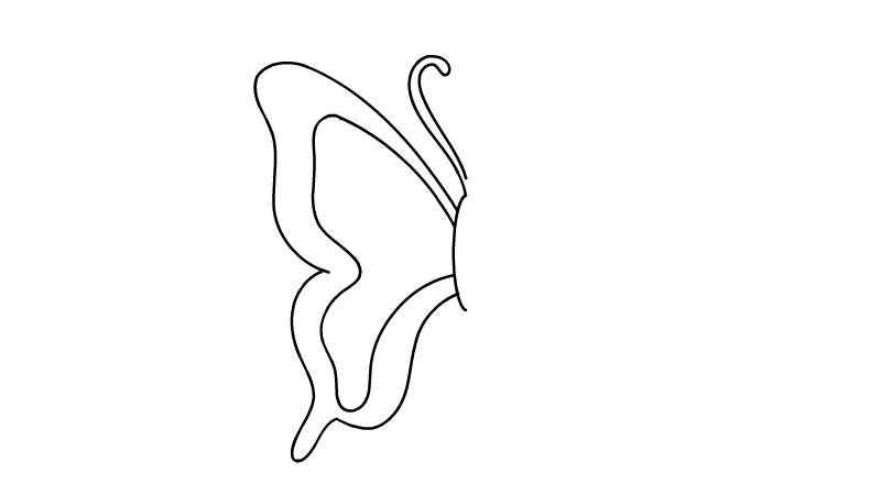 对称图形简笔画如何画(先画出蝴蝶图形的左边部分)