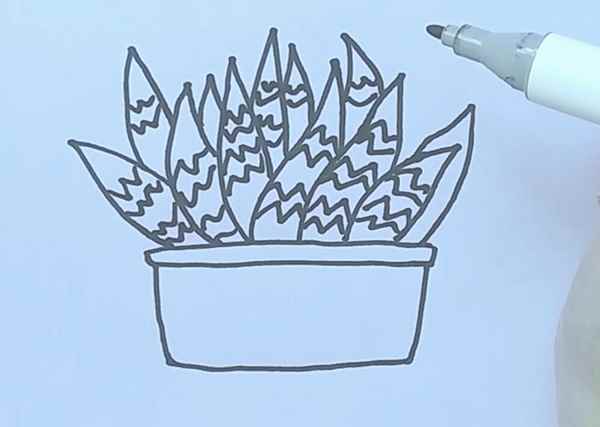 芦荟简笔画(芦荟怎么涂才好看花盆涂满)