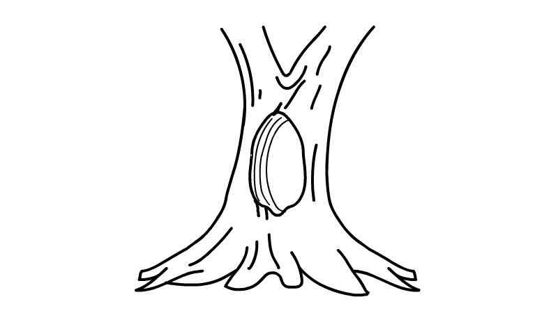 树洞简笔画教程(树洞涂上的颜色就可以了)