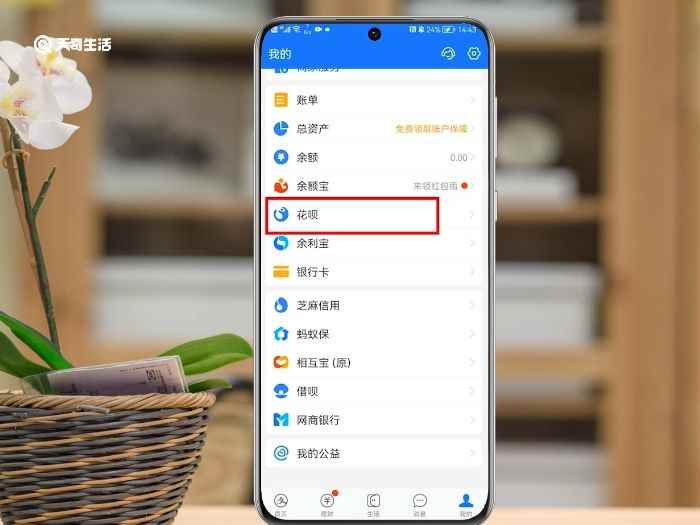花呗账单日在哪里查看(支付宝10.2)