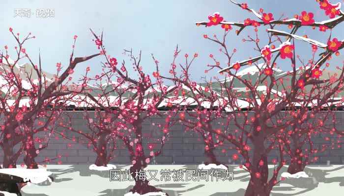 梅花香自苦寒来的意思(“梅花香自苦寒来”意思是挨过)