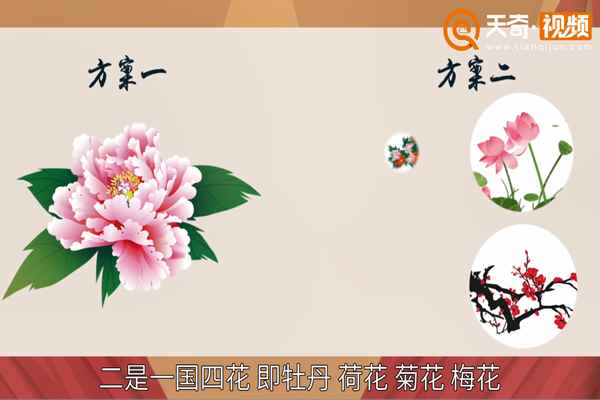 中国国花是什么花(中国的国花是什么牡丹花象征着国家繁荣富强)