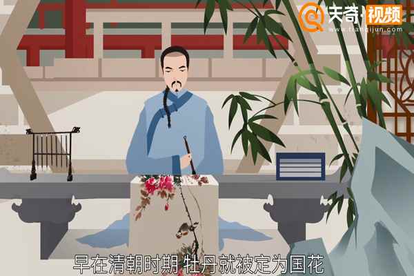 中国国花是什么花(中国的国花是什么牡丹花象征着国家繁荣富强)