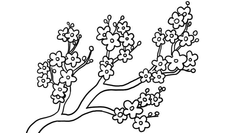 桃花树的简笔画怎么画(桃花的树干怎么画才好看)