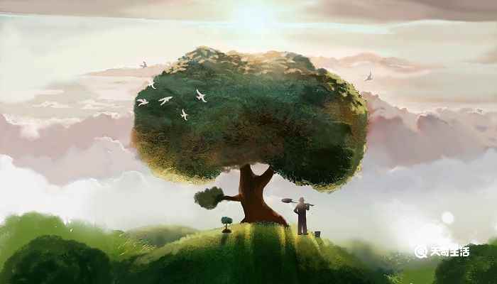 郭橐驼种树告诉我们什么道理(郭橐驼种树的故事)