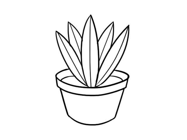 盆栽简笔画(花盆上的花叶怎么画好)
