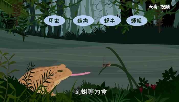 蟾蜍有毒吗(癞蛤蟆是一种极有药用价值的经济动物)