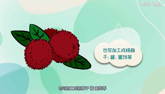 杨梅大仓什么意思(杨梅大仓是用来储存杨梅的大仓房或大仓库)